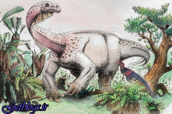 بزرگترین دایناسور دنیا شناسایی شد